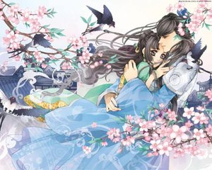 红桃传媒网页版